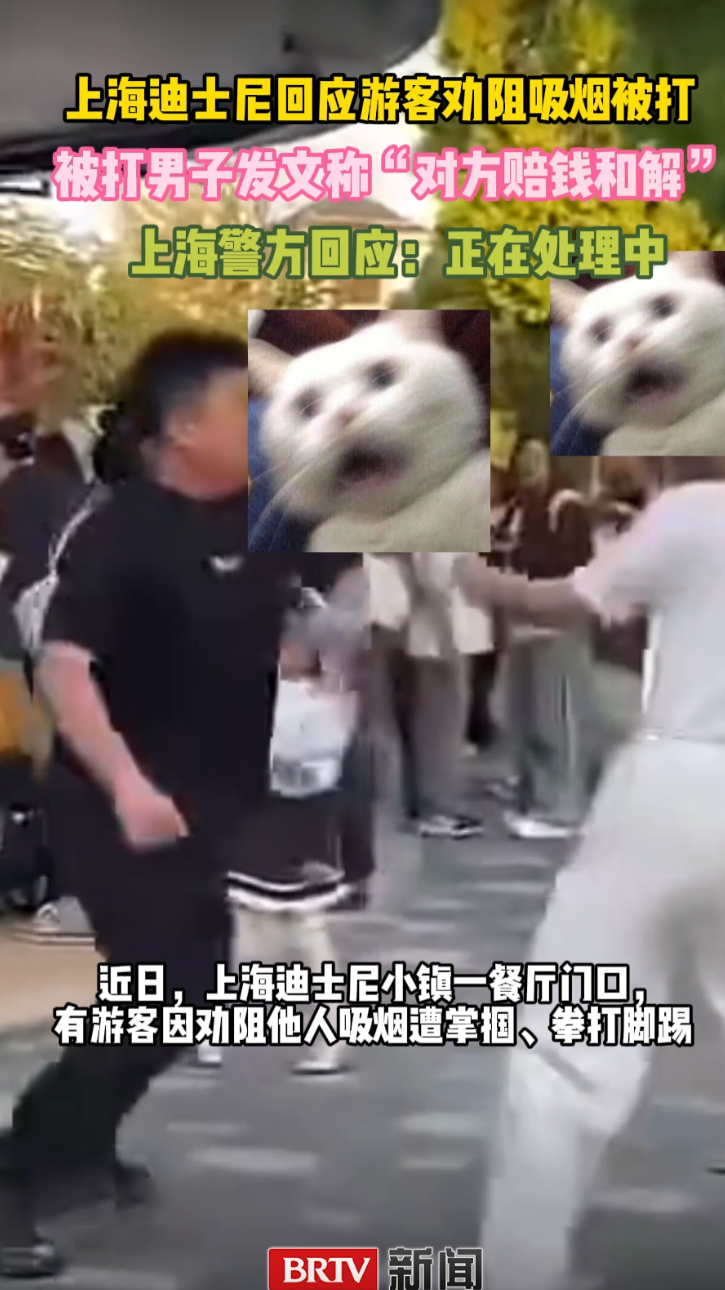 上海迪士尼回应游客劝阻吸烟被打，迪士尼吸烟男子殴打劝烟者已和解
