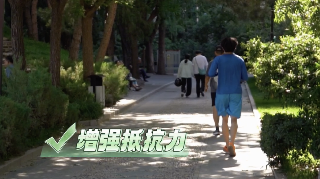芒种至，盛夏始，古法香囊里藏着夏日安康