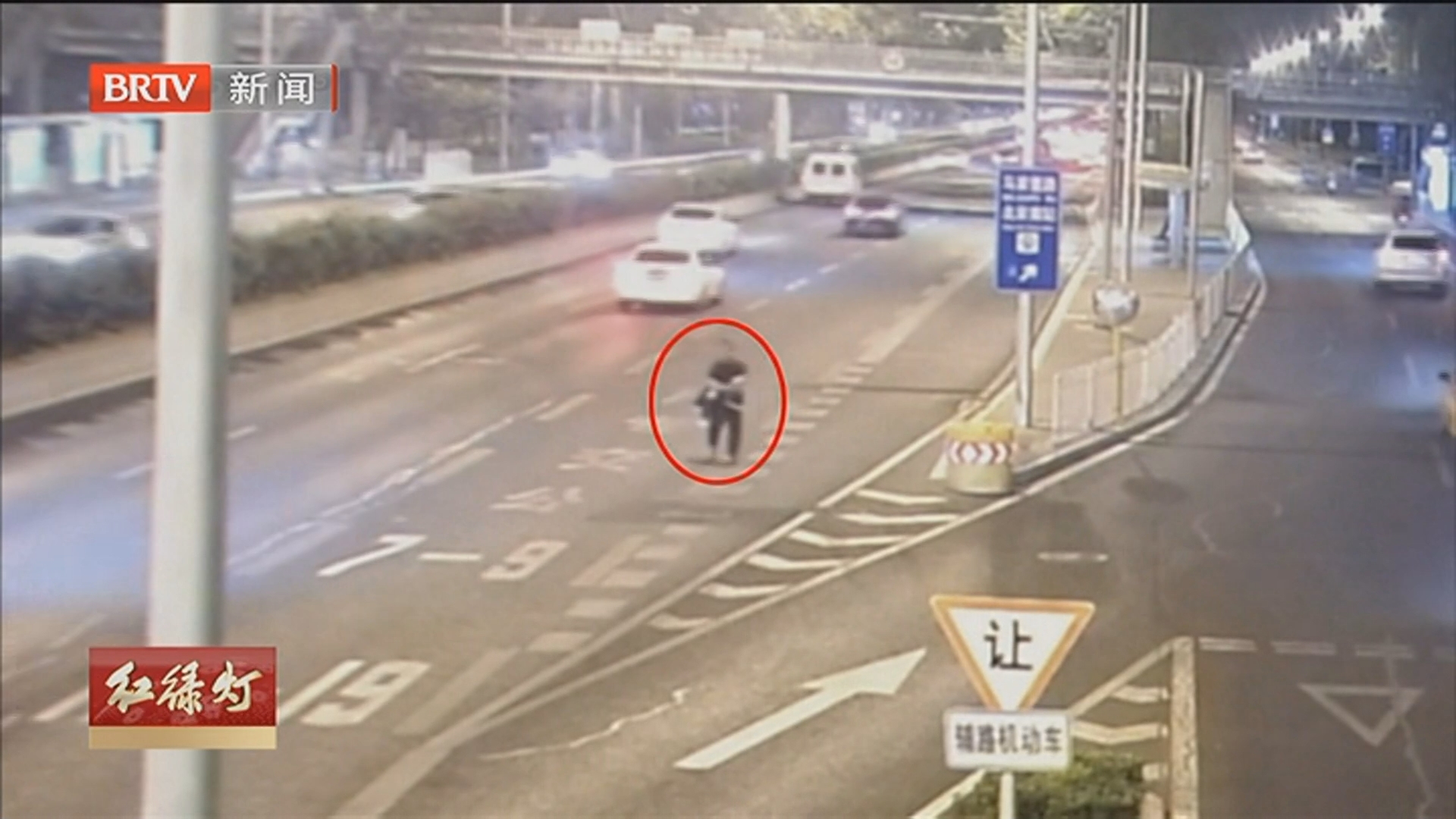 公共视频 20260219