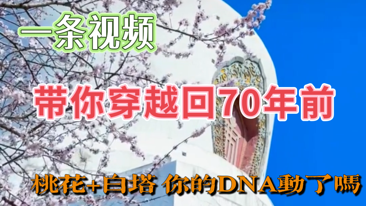 北海桃花映白塔 这双桨一荡70年! 北海桃花映白塔 这双桨一荡70年!