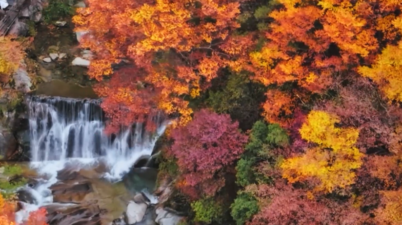 大美中国行——走进吉林