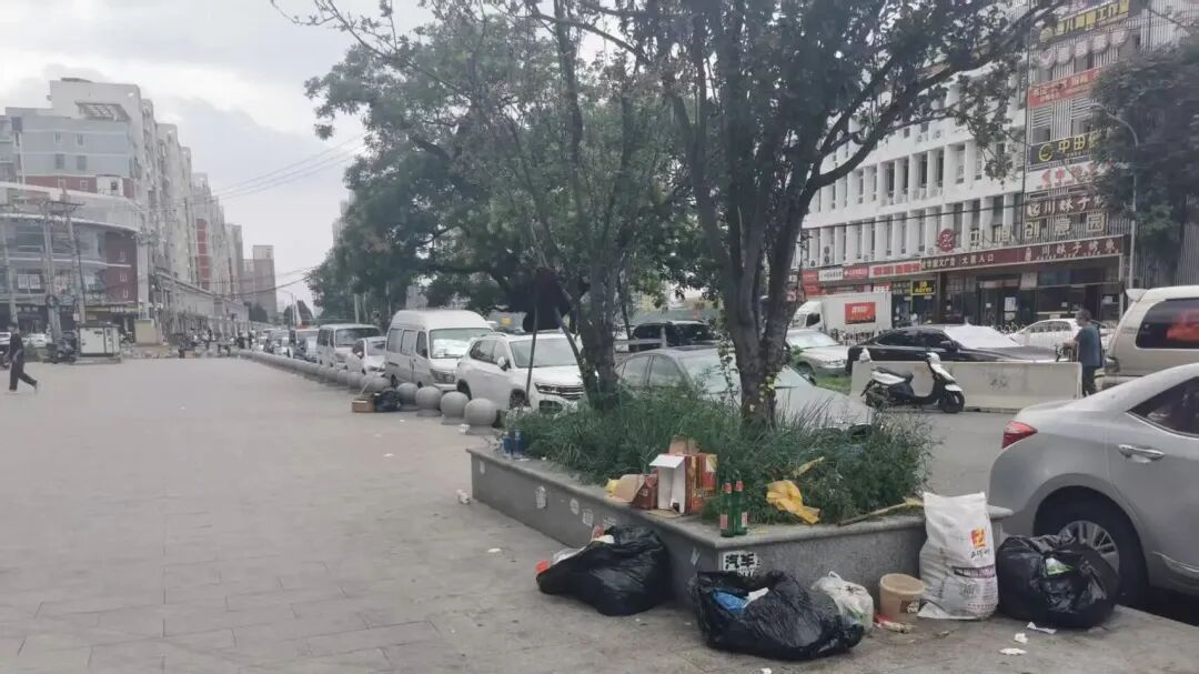 北京三百年古树遭“僵尸车”围堵？如今，清走了！ | 问后