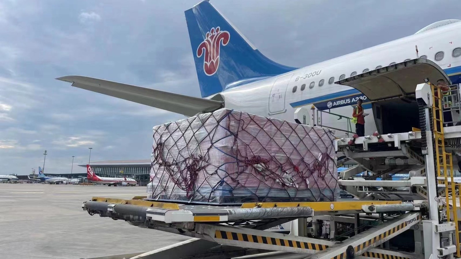 节前消费需求旺盛 南航物流北京国内进出港货量同比增长超三成 节前消费需求旺盛 南航物流北京国内进出港货量同比增长超三成