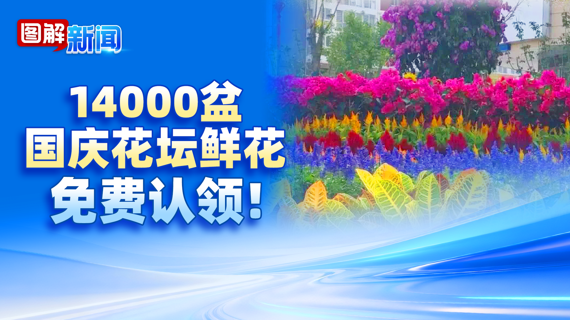 免费!门头沟14000盆花坛鲜花等你来领 免费!门头沟14000盆花坛鲜花等你来领