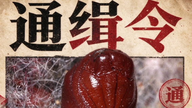 明天，有一场“升级版”抓虫大赛，你准备好了吗？