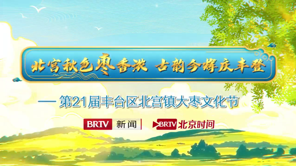 丰收节 来摘枣 这个大枣可是土生土长的北京枣儿! 丰收节 来摘枣 这个大枣可是土生土长的北京枣儿!