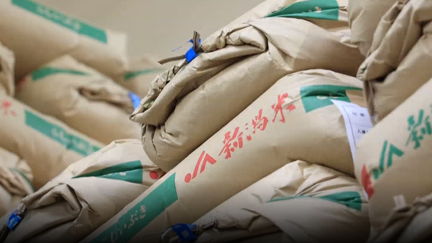 日媒:日本考虑在美关税谈判中就大豆和大米进口让步 日媒:日本考虑在美关税谈判中就大豆和大米进口让步