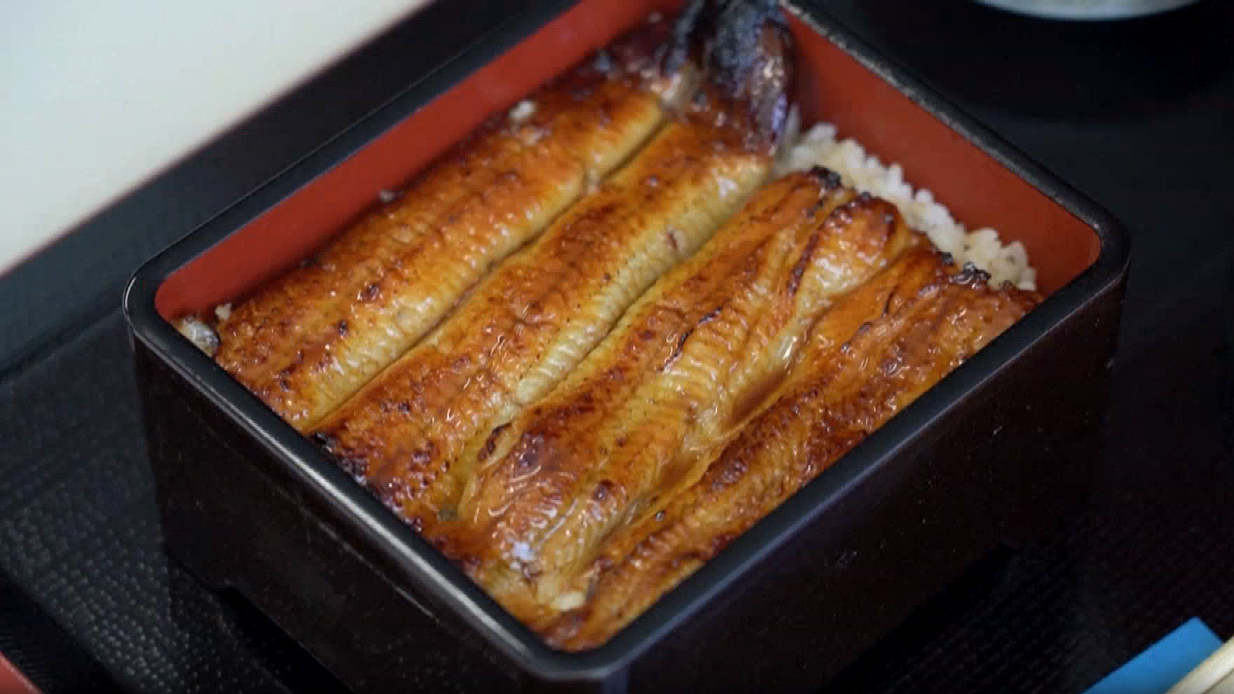 日本鳗鱼：美味佳肴被吃成濒危物种