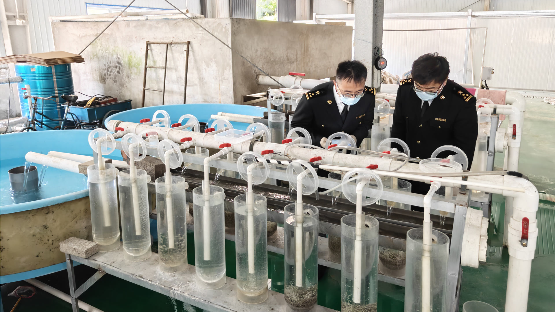 自主培育，国家级新品种！北京水生动物首次出口乌兹别克斯坦