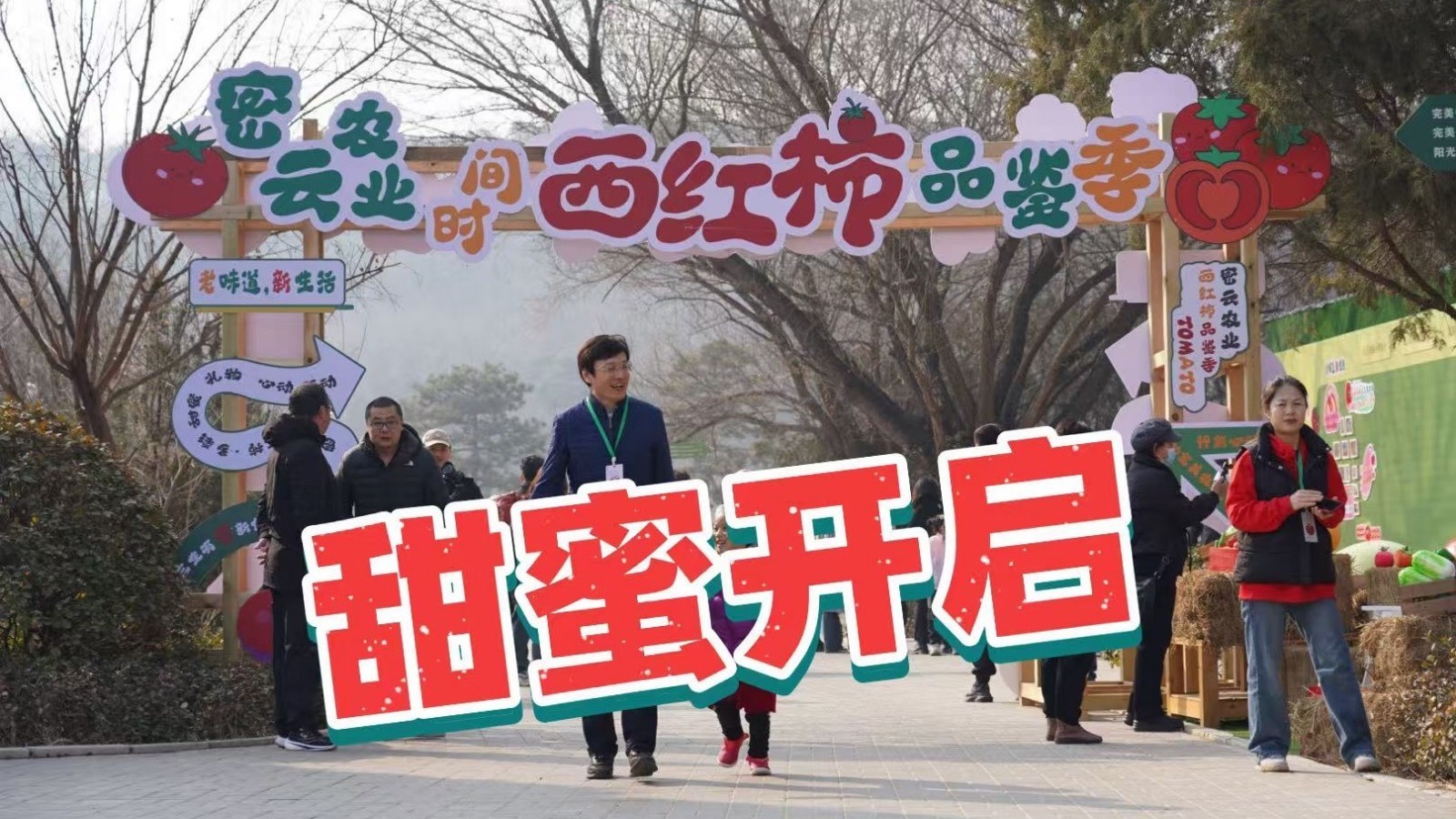 品鉴佳果正当时!密云西红柿品鉴季甜蜜开启 品鉴佳果正当时!密云西红柿品鉴季甜蜜开启