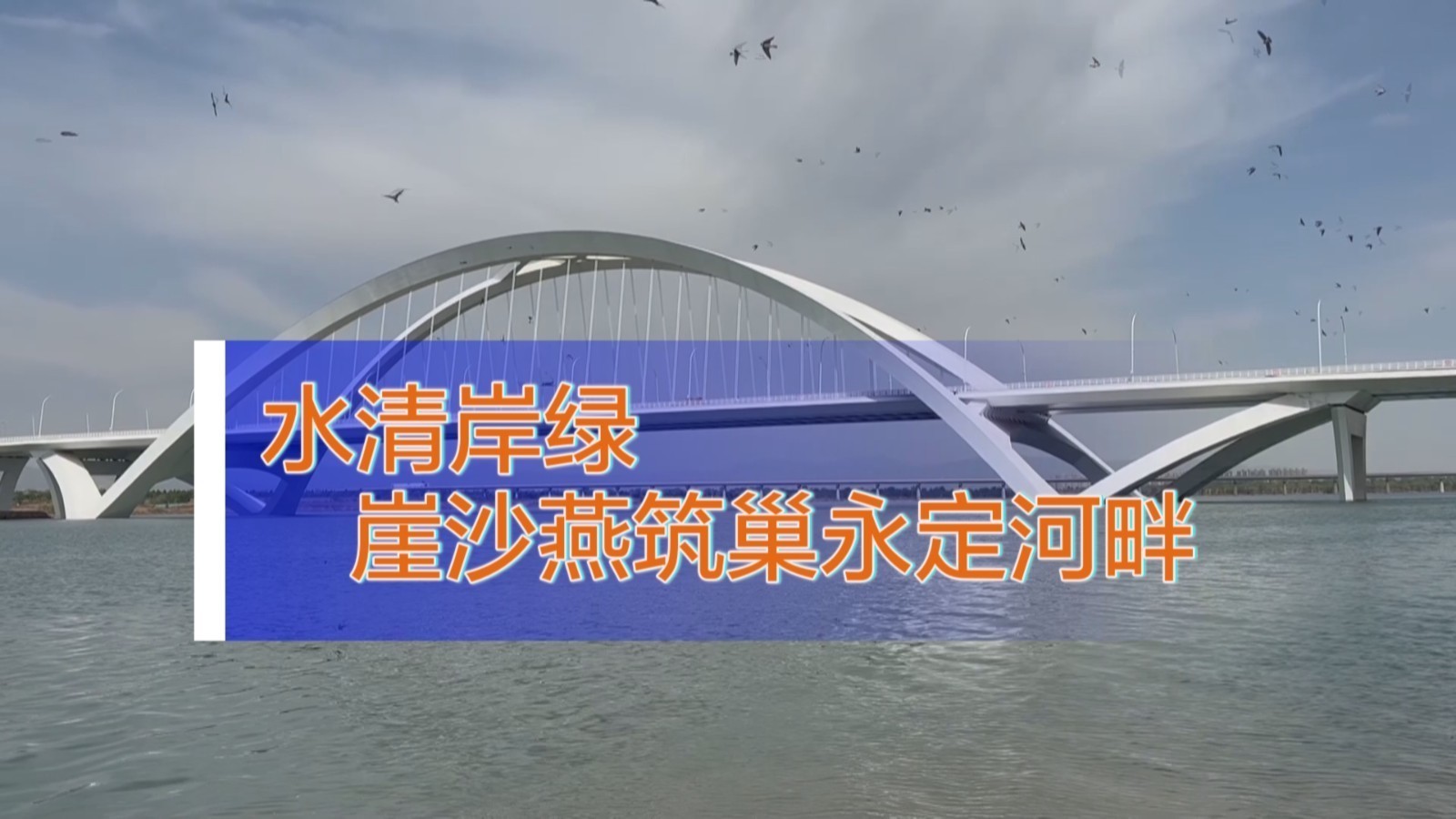 水清岸绿 崖沙燕筑巢永定河畔