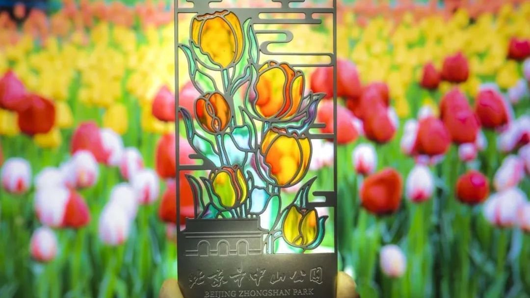 郁金香在这5个公园惊艳“炸场”！比油画更浓烈，比彩虹更绚烂~