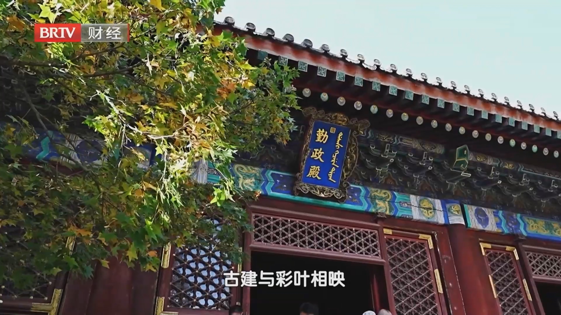 秋染京西两山红 赏叶赛道各出招