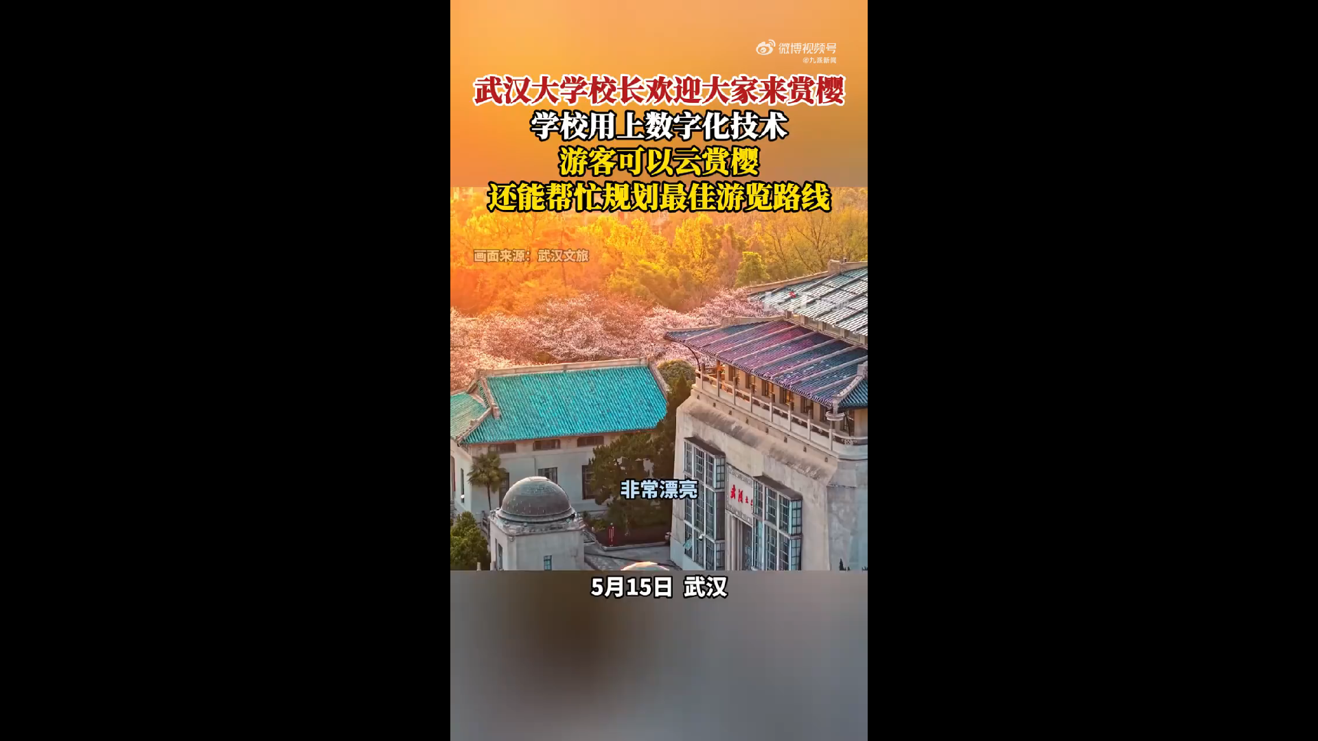 武大数字化技术游客可线上云赏樱