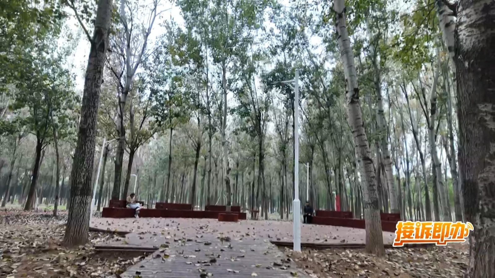 从“争夺”到“共享”:顺义一小区化解广场舞场地之争 从“争夺”到“共享”:顺义一小区化解广场舞场地之争