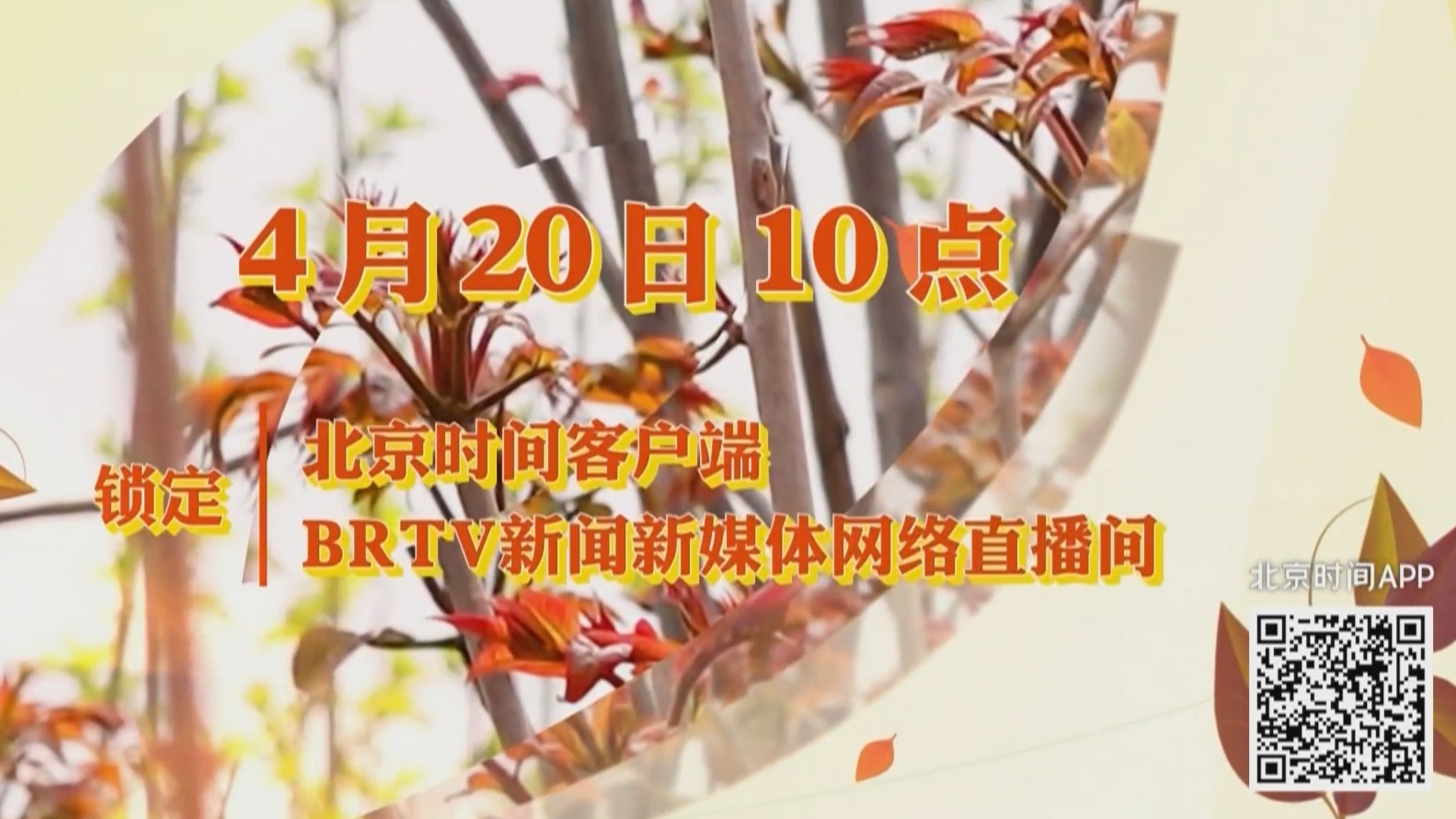 平谷峪口第十一届香椿文化季盛大开启 4月20日10点锁定北京时间客户端