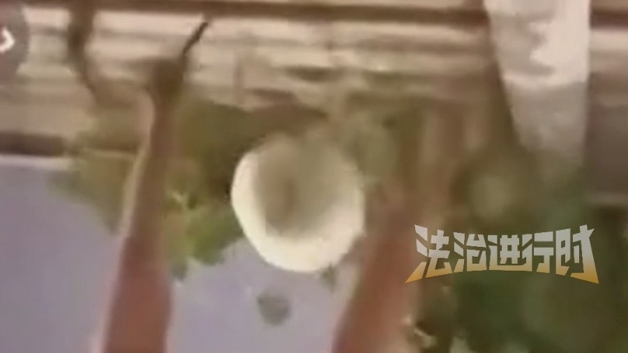 沈阳男子二环快速路上违停摘葫芦 当事人:真心道歉 就是图好玩才摘