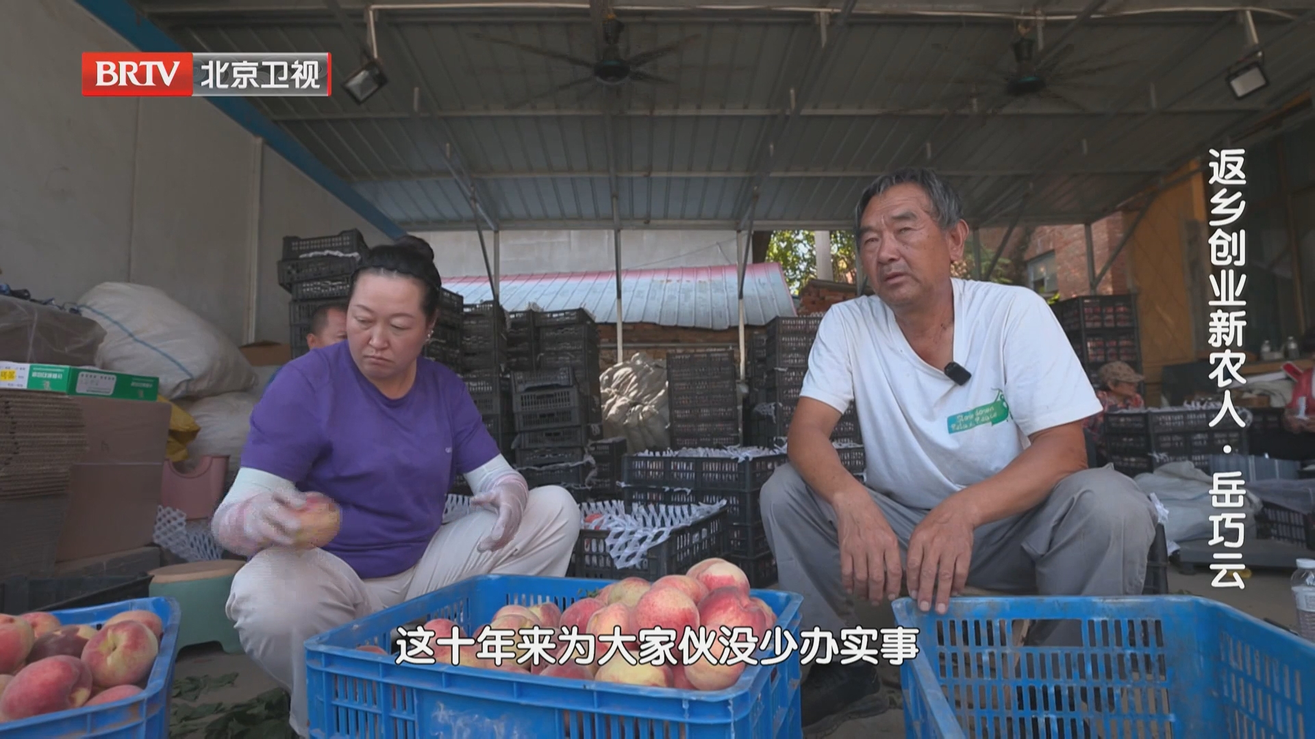 果农眼中的岳巧云：送来好品种，办实事的女强人
