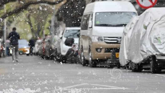 2026杨柳絮预警地图出炉 北京天津4月6日开始飞絮