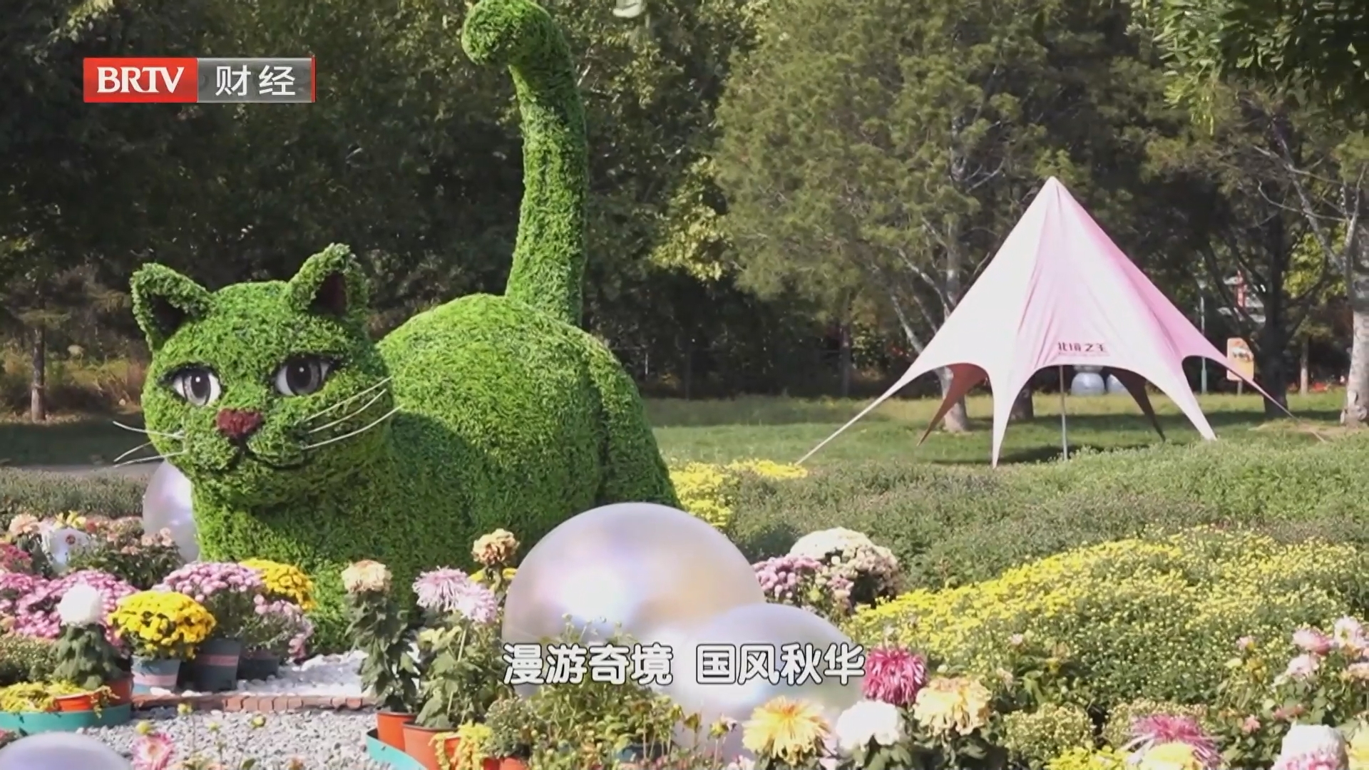 菊花桂花次第绽放 中秋游园新场景激活文旅消费