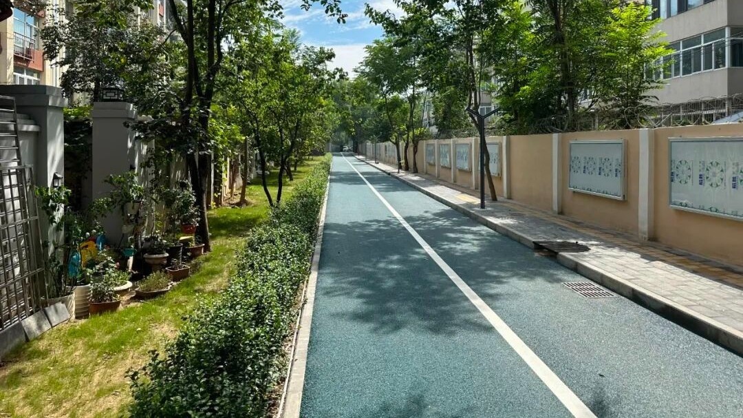 向学绿道 向“心”而行 北七家镇为民服务在路上