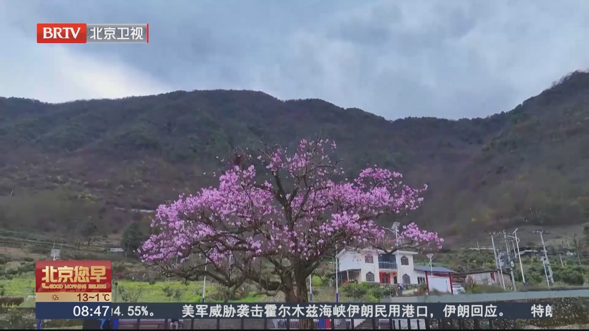 四川：以花为媒催生多彩“花经济”