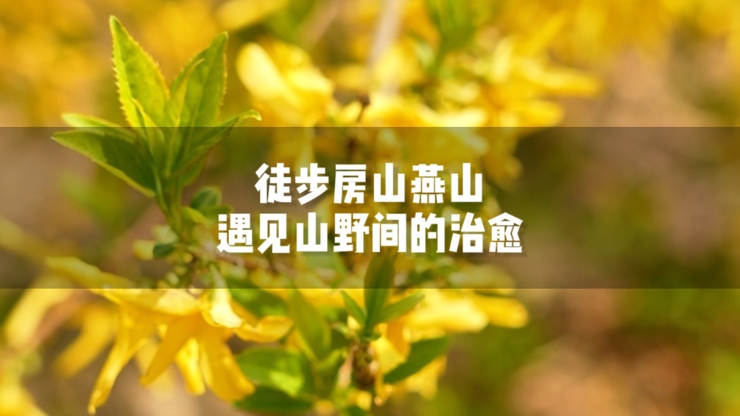 徒步燕山白水寺：打卡书院新地标，解锁“徒步+美食”双重快乐