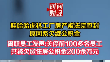 娃哈哈虎林工厂房产被法院查封原因系欠缴公积金