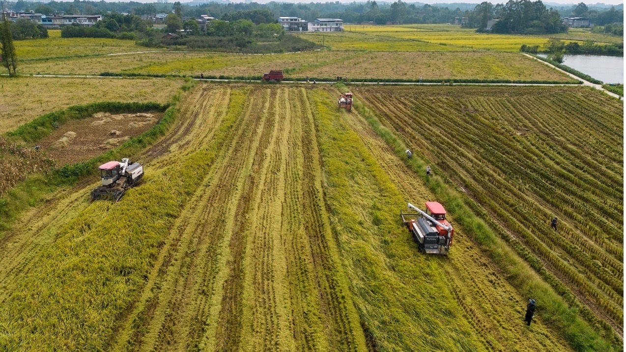 我国耕地保护实现“人人动手、指尖监督” 我国耕地保护实现“人人动手、指尖监督”