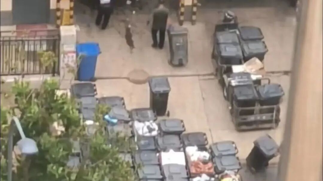 “长年不敢开窗” , 运行9年的“违建”垃圾站终于拆了!| 问后 “长年不敢开窗” , 运行9年的“违建”垃圾站终于拆了!| 问后