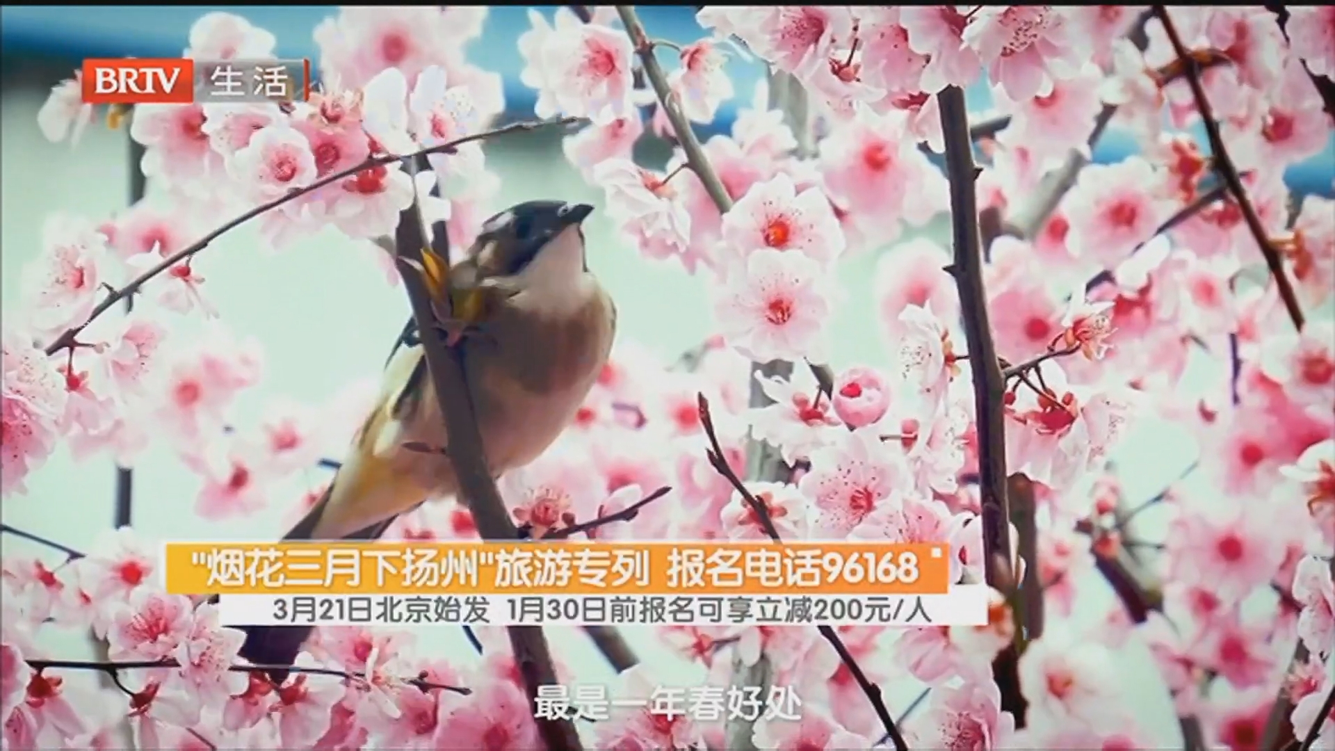 “烟花三月下扬州”旅游专列 报名电话96168 3月21日北京始发 1月30日前报名可享立减200元/人