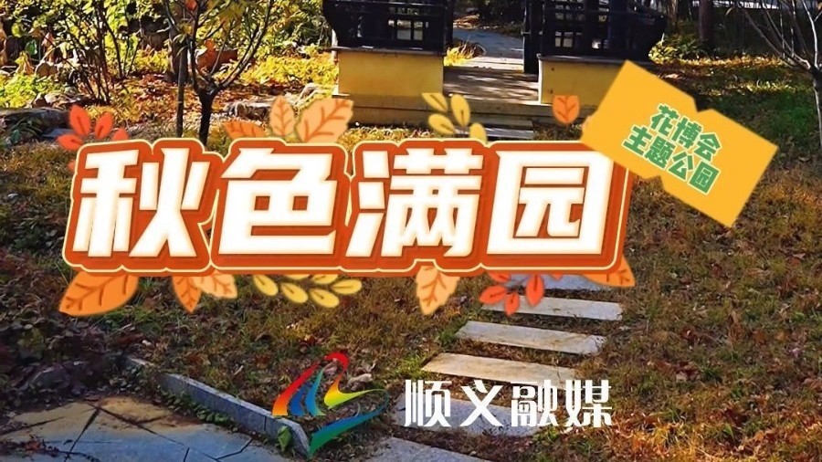 大美顺义 | 层林染尽,秋意渐酣,眼前风物皆温柔。欢迎您来顺义区花博会主题公园感受秋意! 大美顺义 | 层林染尽,秋意渐酣,眼前风物皆温柔。欢迎您来顺义区花博会主题公园感受秋意!