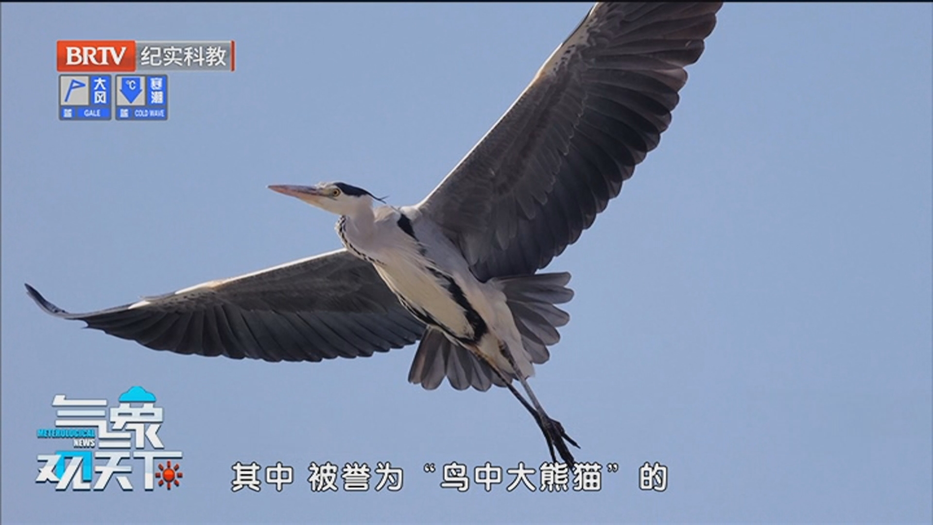 《气象观天下》20260205晴冷持续 防寒保暖不松懈