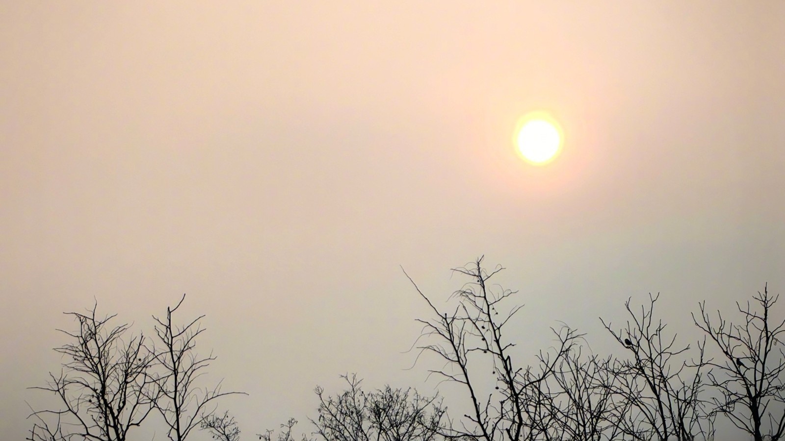 今天最高气温18℃ 阵风六级 今天最高气温18℃ 阵风六级