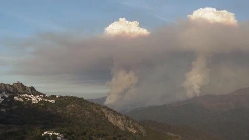 《自然》网站:山火引发的积云值得警惕 《自然》网站:山火引发的积云值得警惕