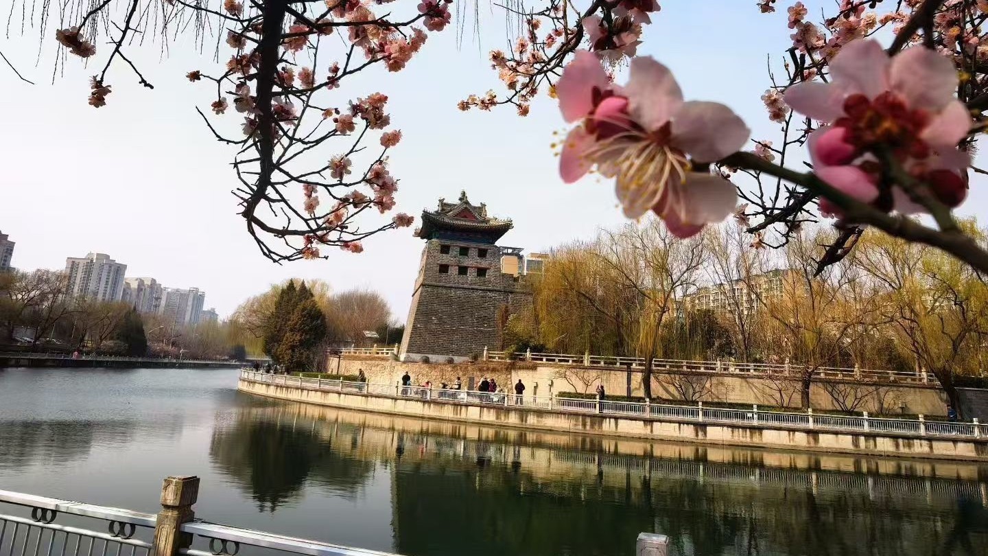 今天气温回升 最高气温12℃ 适宜户外活动 今天气温回升 最高气温12℃ 适宜户外活动