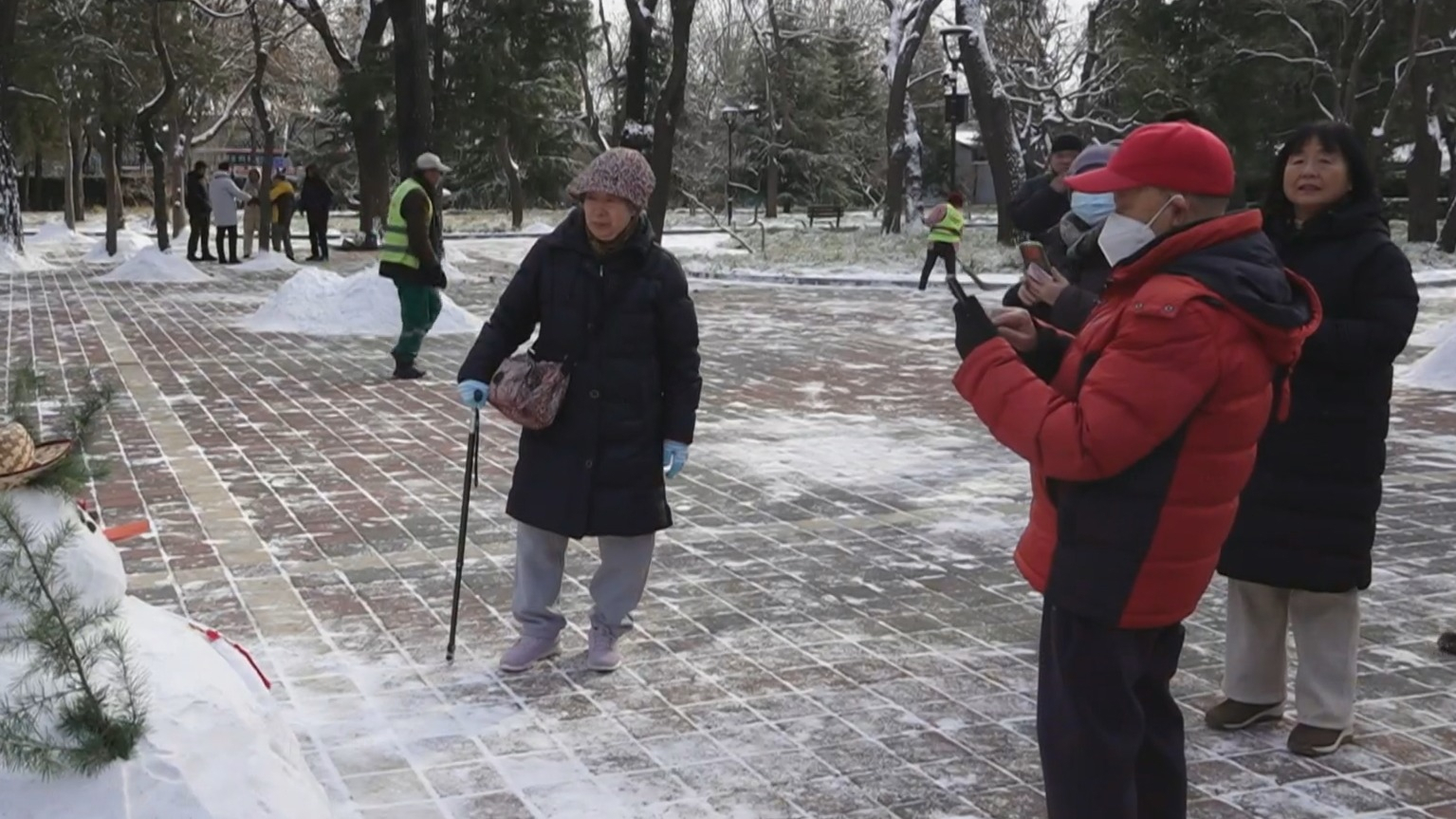 守护雪后绿 绿化带首次不设挡盐板