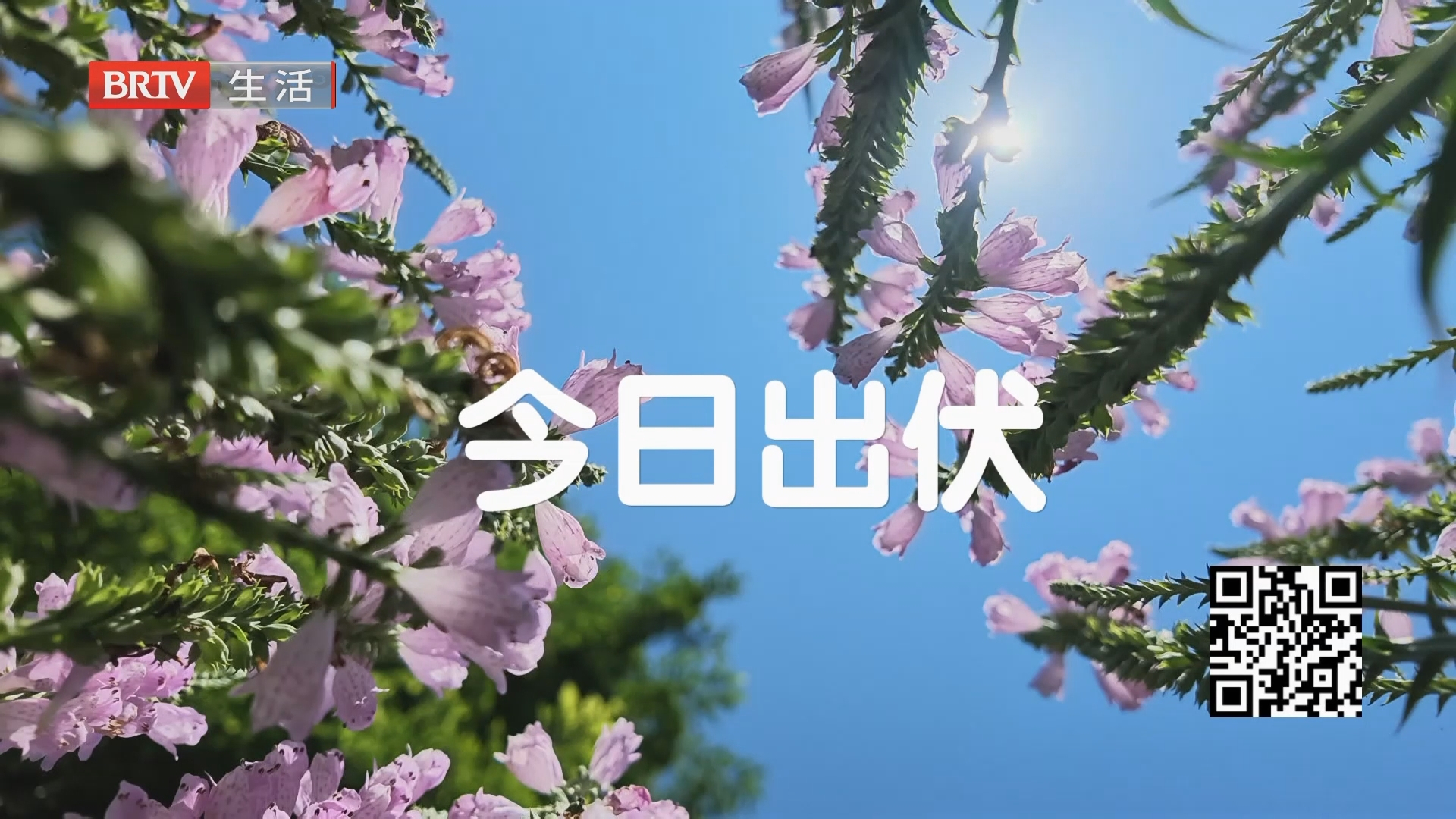 《生活这一刻》20260824