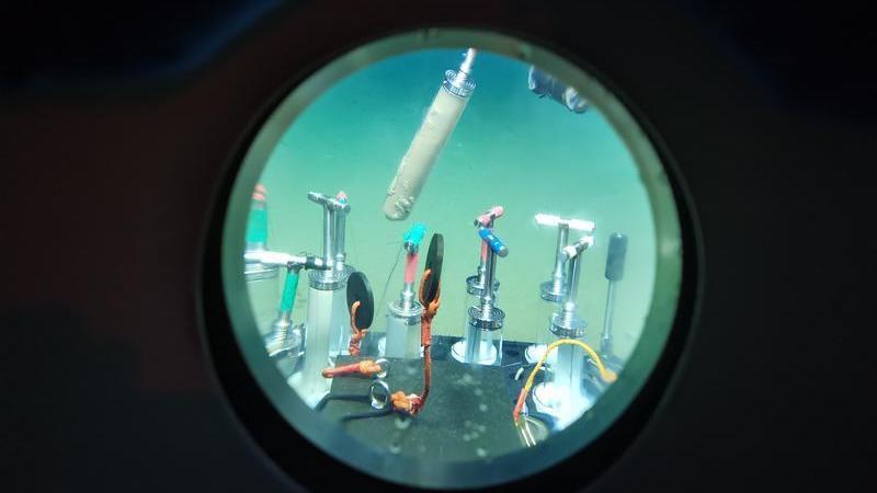 首次揭秘！6000米以下深海生物如何“抗压”？