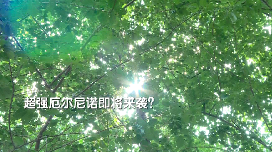 最强厄尔尼诺要来了?2026年最热?气象专家权威辟谣 最强厄尔尼诺要来了?2026年最热?气象专家权威辟谣