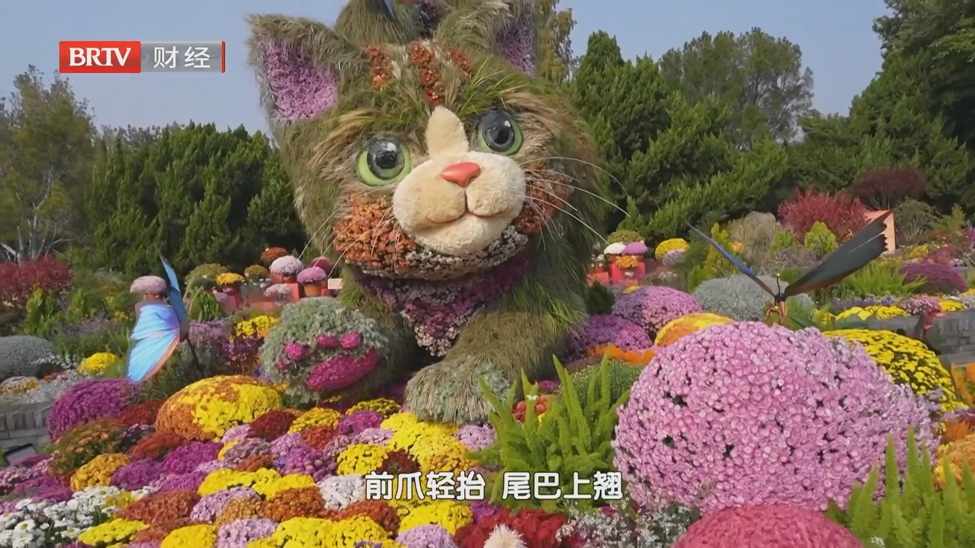 “萌景观”拉动流量 老牌公园解锁新消费