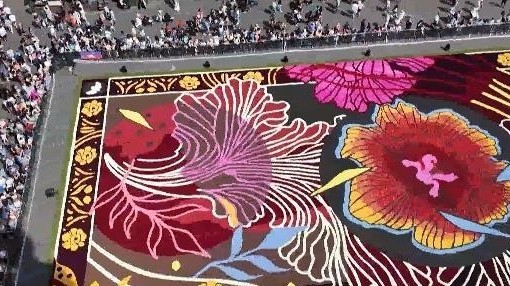 布鲁塞尔铺开巨型“鲜花地毯”吸引游客围观