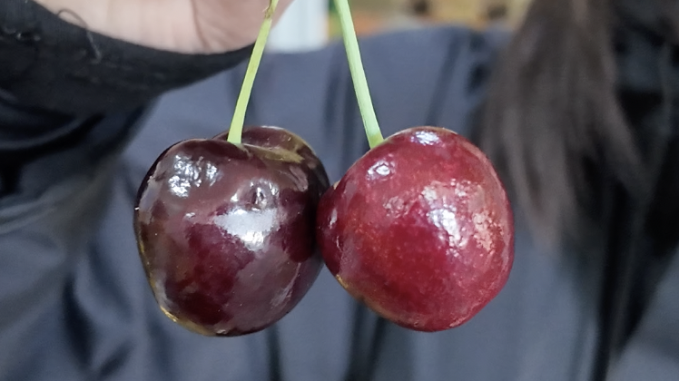 搞懂车厘子标准:J是尺寸标准,D是甜度信号 搞懂车厘子标准:J是尺寸标准,D是甜度信号