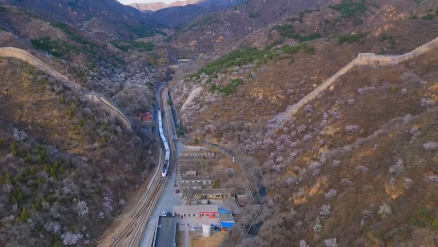 不负京华好春光丨春日花海引客来 居庸关花海栈道美景如画