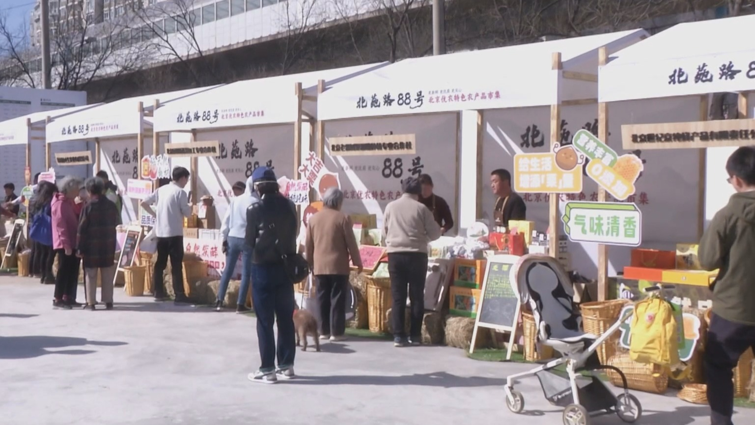 “北苑路88号”市集开市 每周六呈上新鲜优农产品