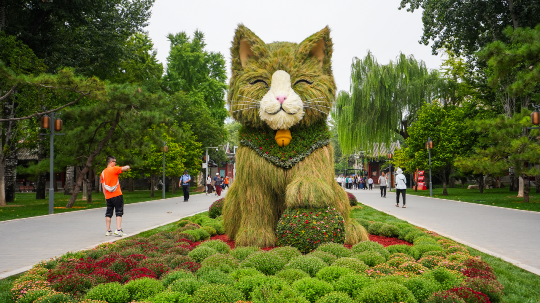 喵！巨型草猫上线日坛金秋游园会，还有——