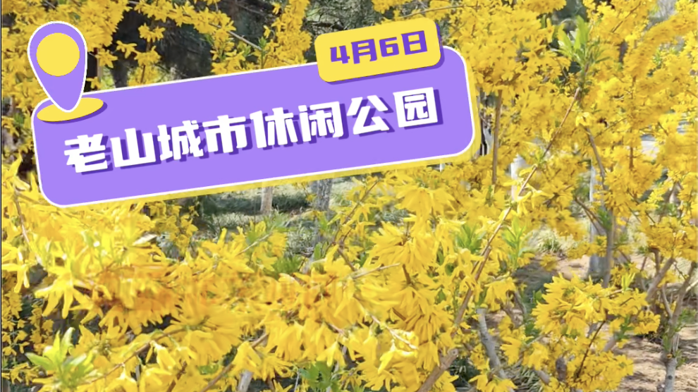 骑行爱好者的宝藏地标 老山城市休闲公园 骑行爱好者的宝藏地标 老山城市休闲公园
