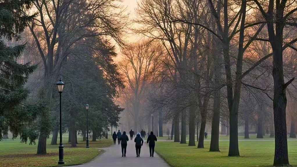 未来三天多云到晴 今日最高气温6℃