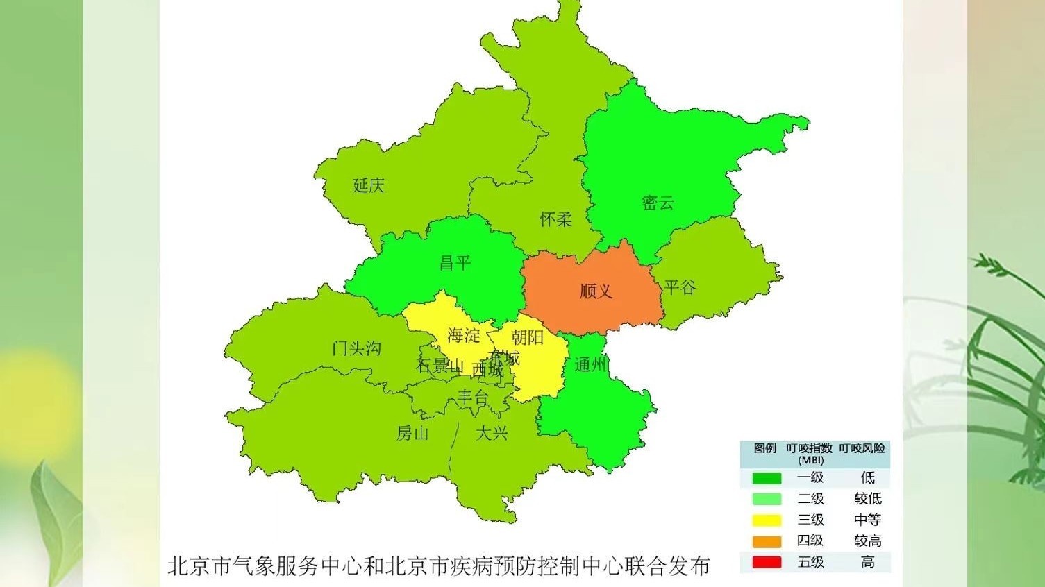 北京蚊虫叮咬指数发布  这两个时段易被蚊子咬