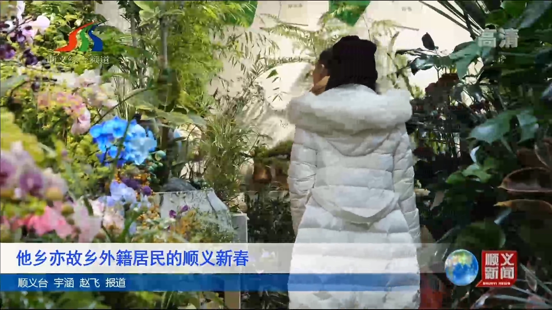 他乡亦故乡 外籍居民的顺义新春